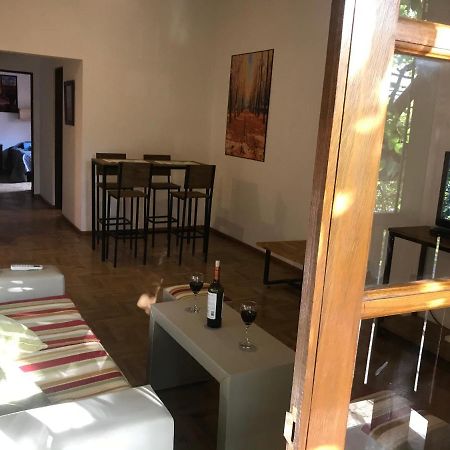 Mza Wine Apartment -Next To Aristides Street- First Class Mendoza Zewnętrze zdjęcie