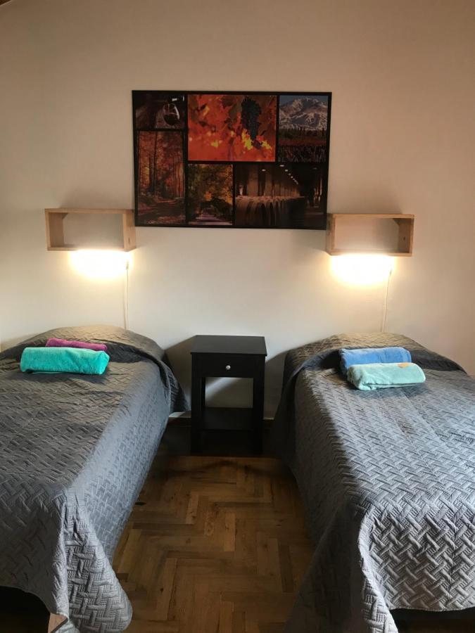 Mza Wine Apartment -Next To Aristides Street- First Class Mendoza Zewnętrze zdjęcie
